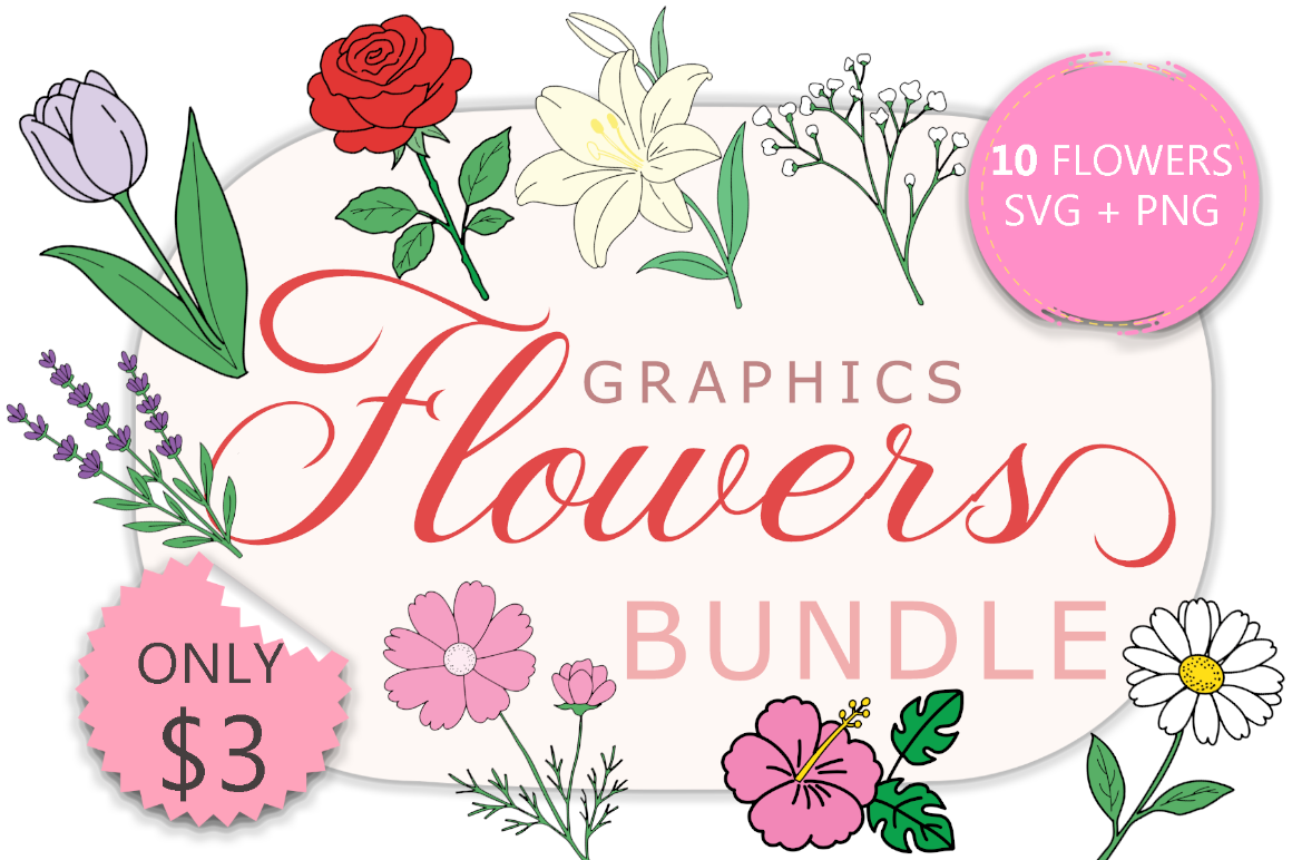 Flowers Graphics Bundle