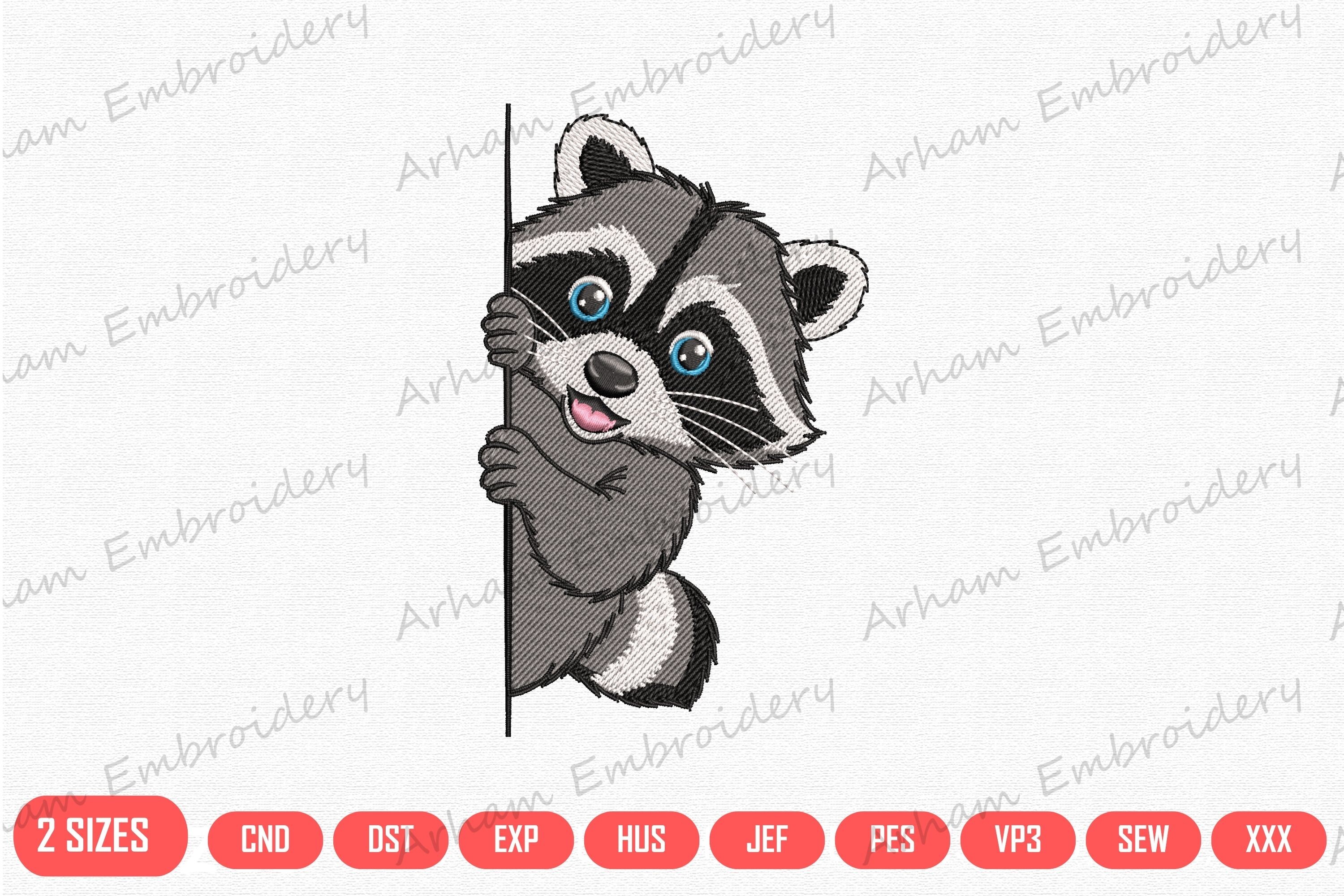 Peekaboo Raccoon