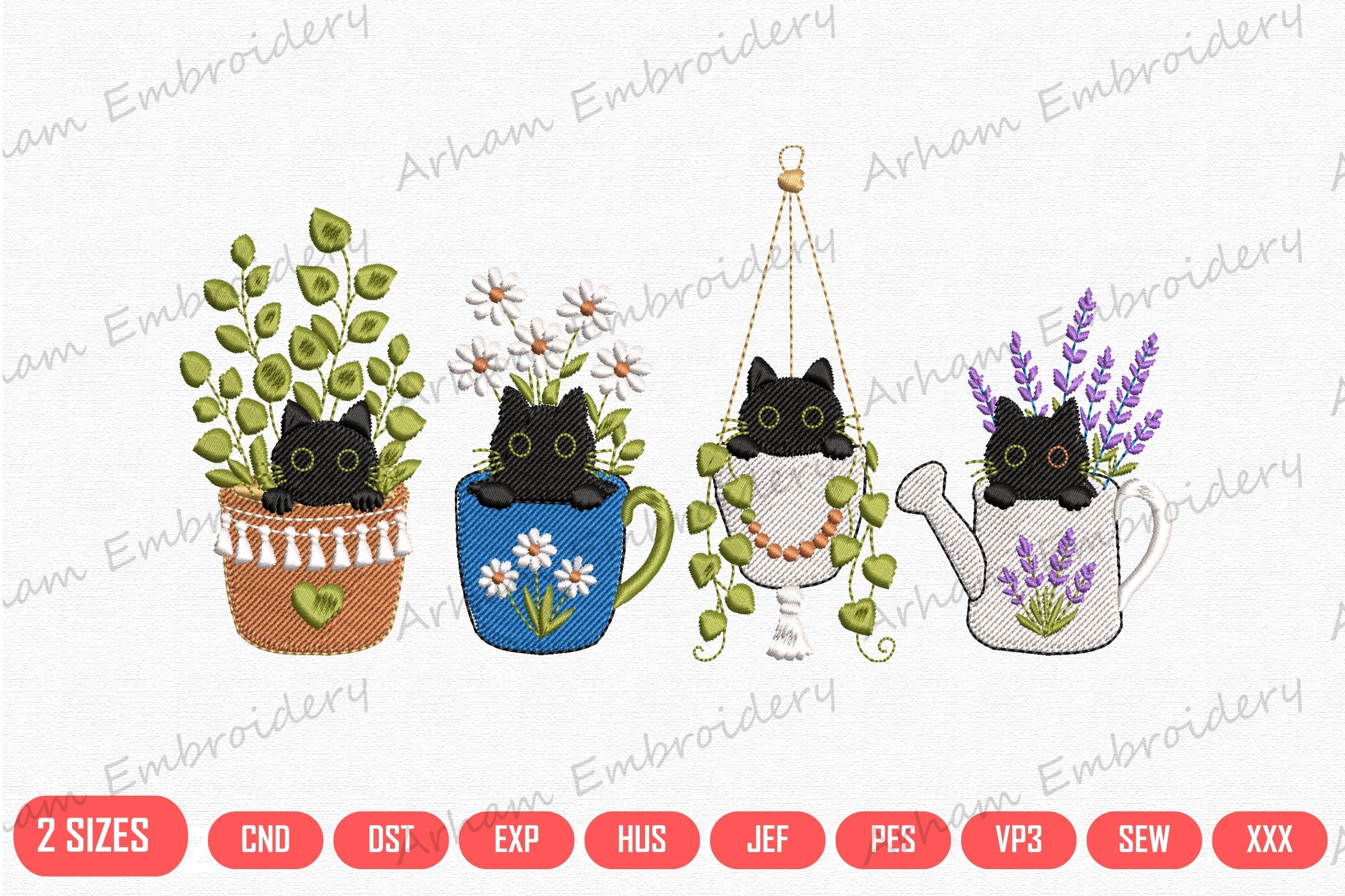 Black Cat Plant