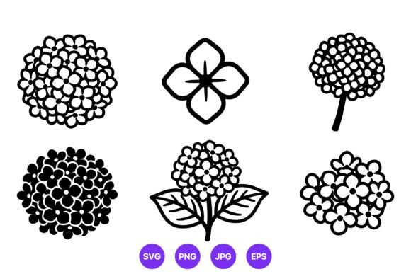 Hydrangea Flower Black and White Icons