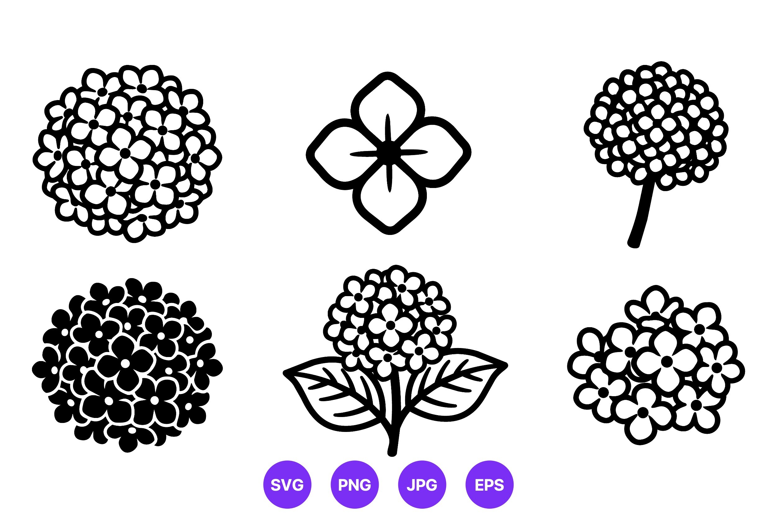 Hydrangea Flower Black and White Icons