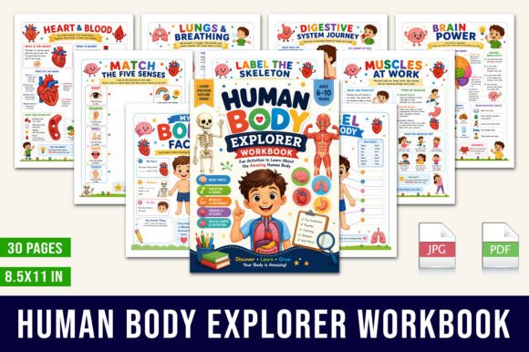 Human Body Explorer Workbook
