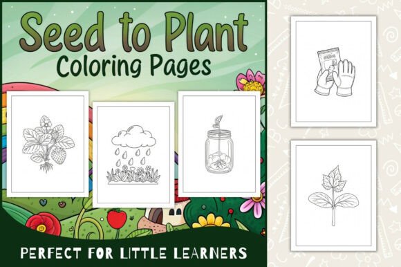Seed to Plant Coloring Pages for Kids