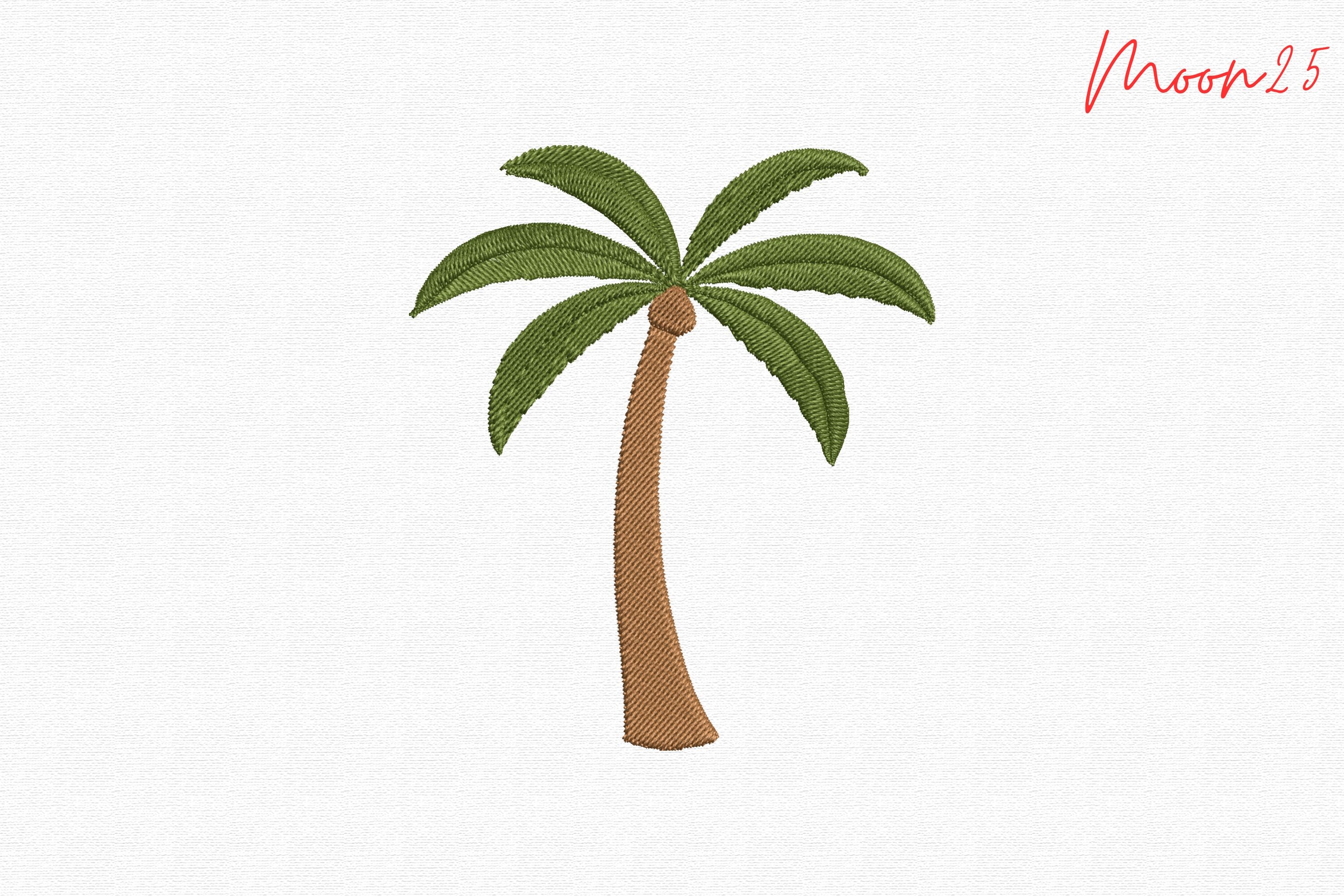 Tropical Coconut Palm