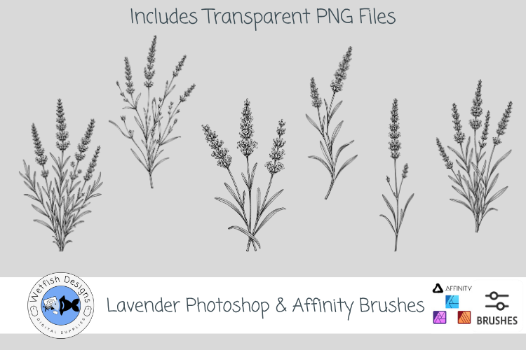Lavender Photoshop & Affinity Brushes