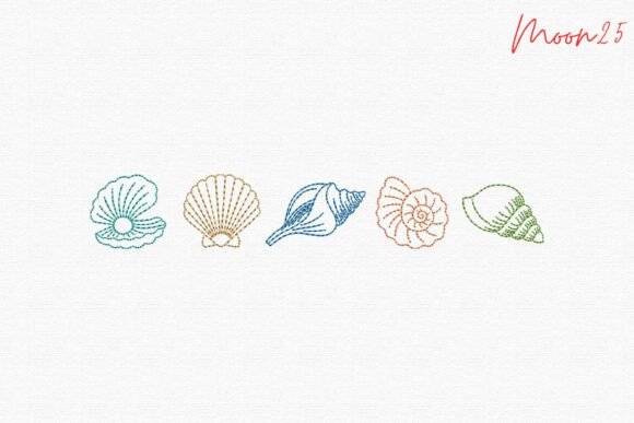 Beach Shell Collection