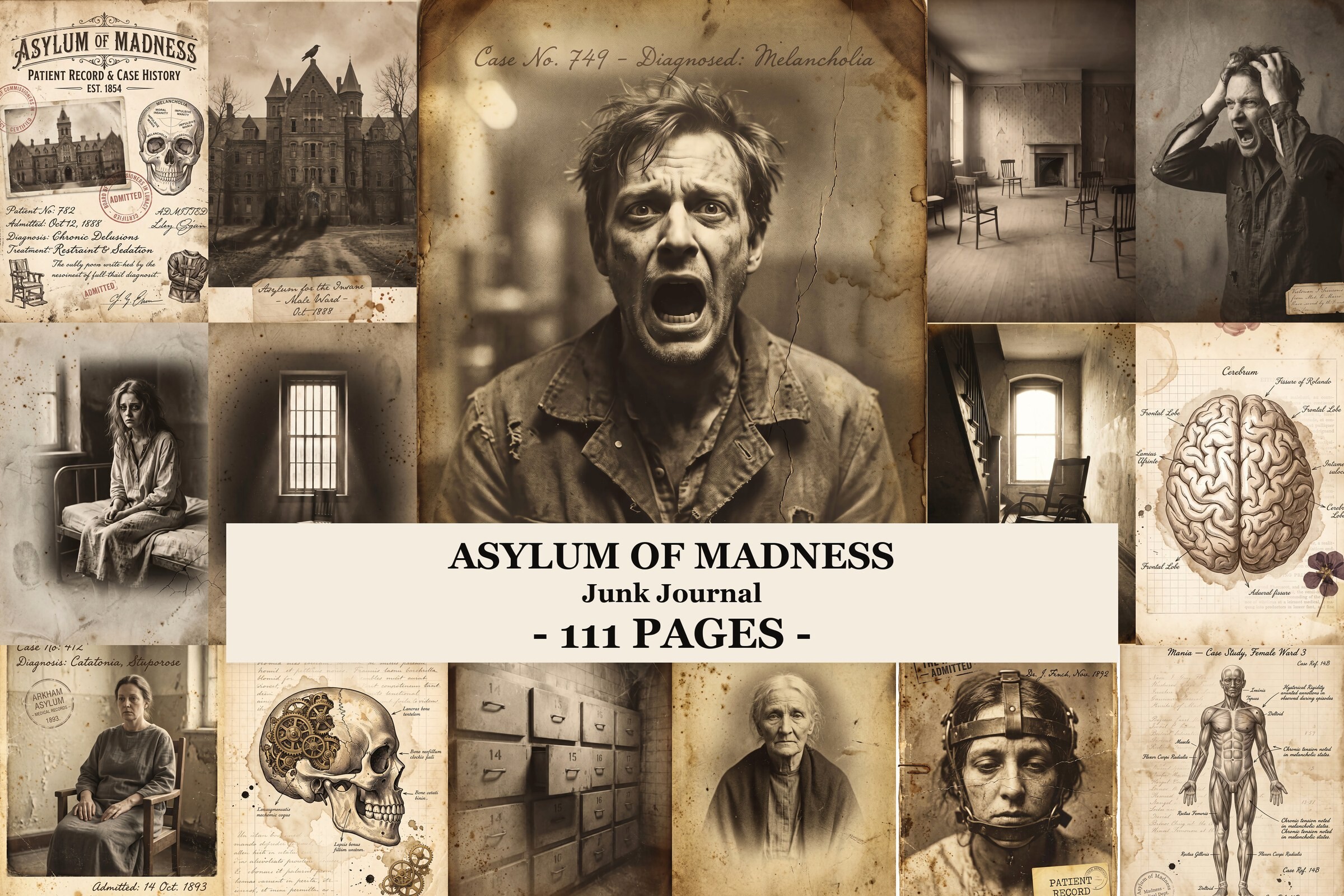 Asylum of Madness