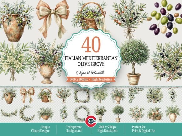 Italian Mediterranean Olive Grove PNGs
