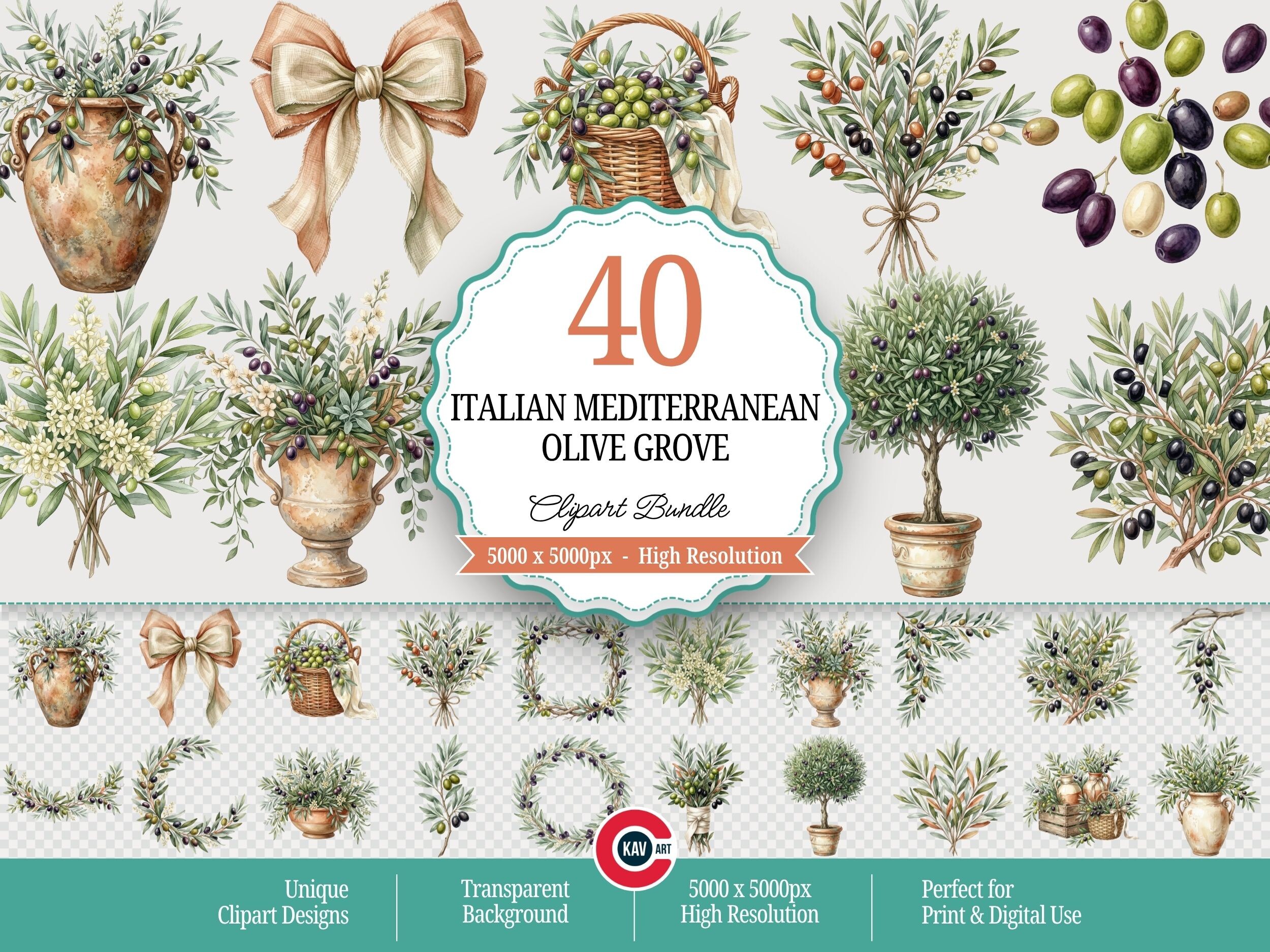 Italian Mediterranean Olive Grove PNGs