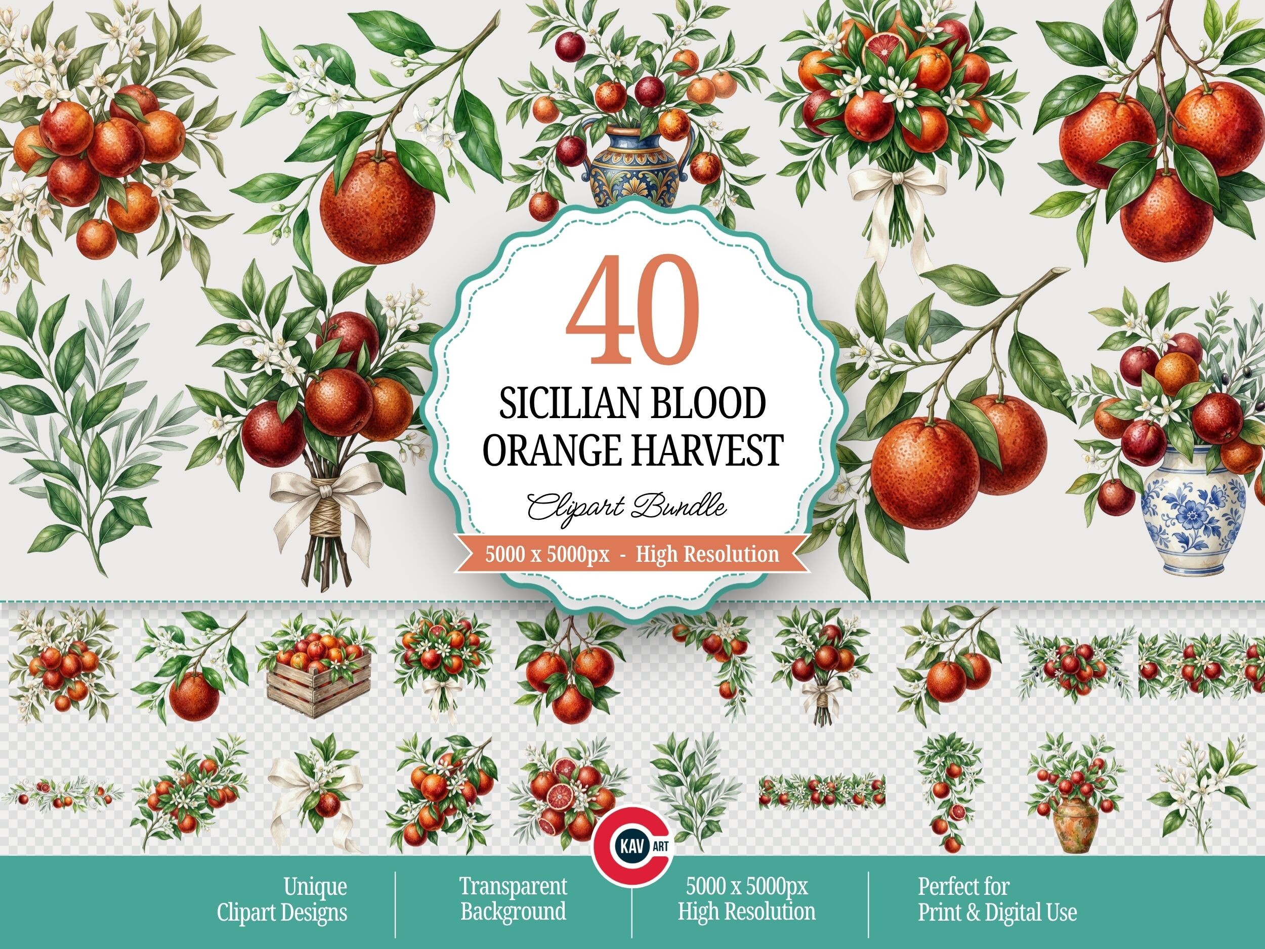 Sicilian Blood Orange Harvest Clipart