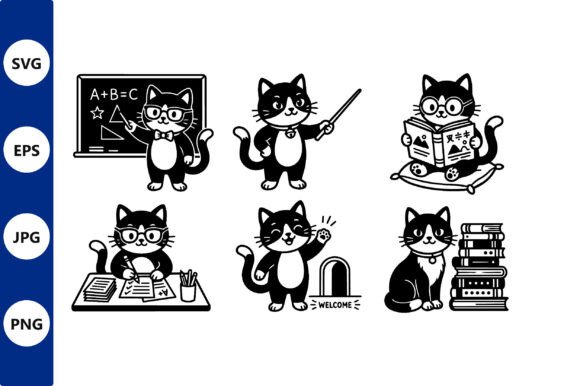 Curious Black and White Cats in School