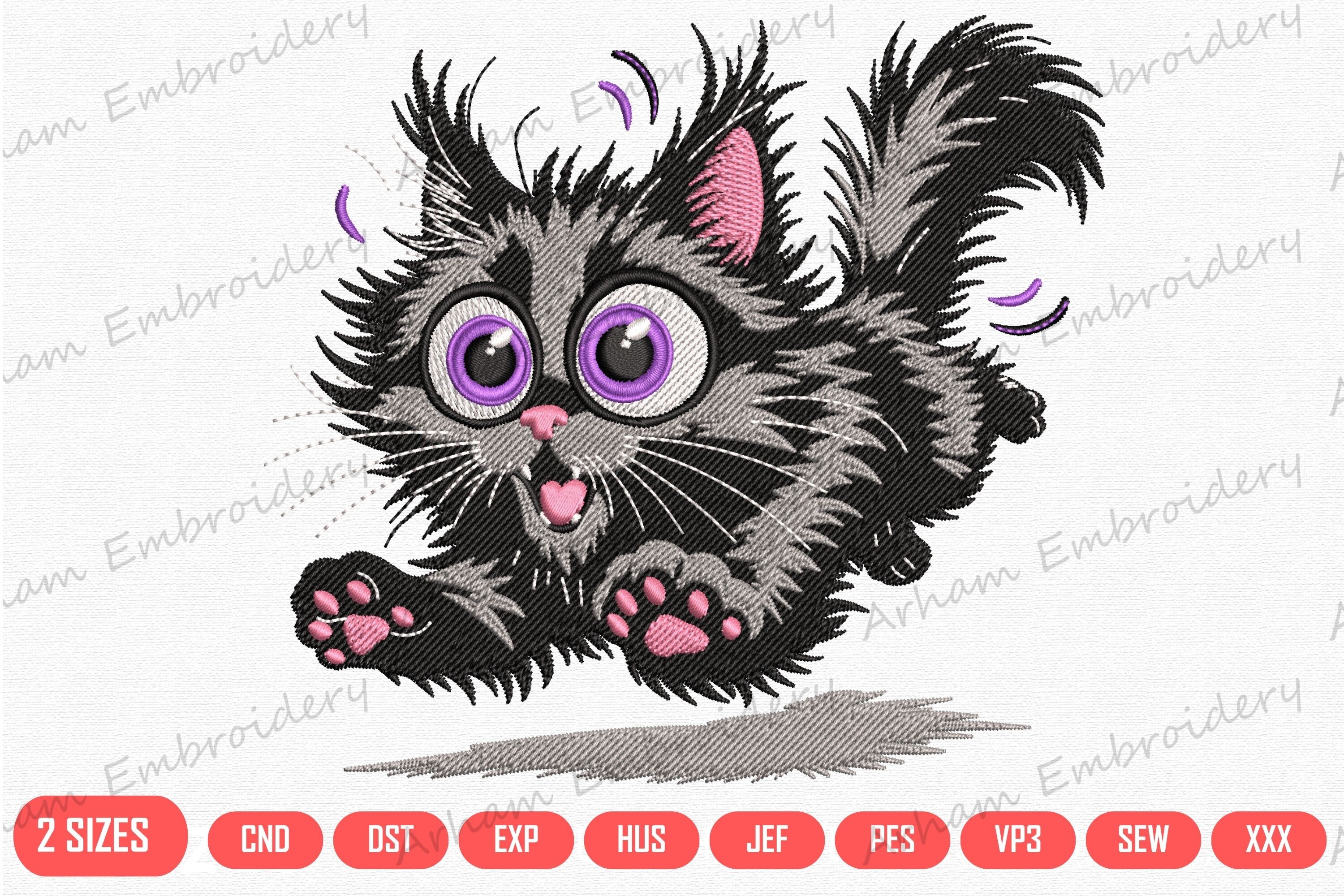 Cute Playful Black Kitten