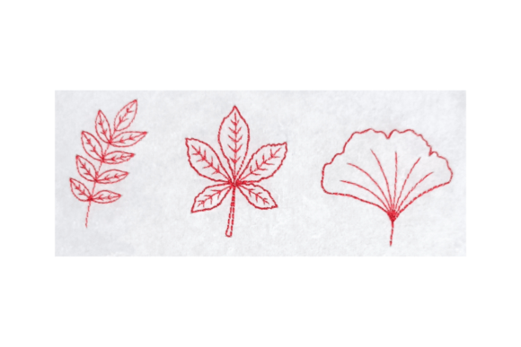 Fall Leaves Bundle - Ash Chestnut Ginkgo