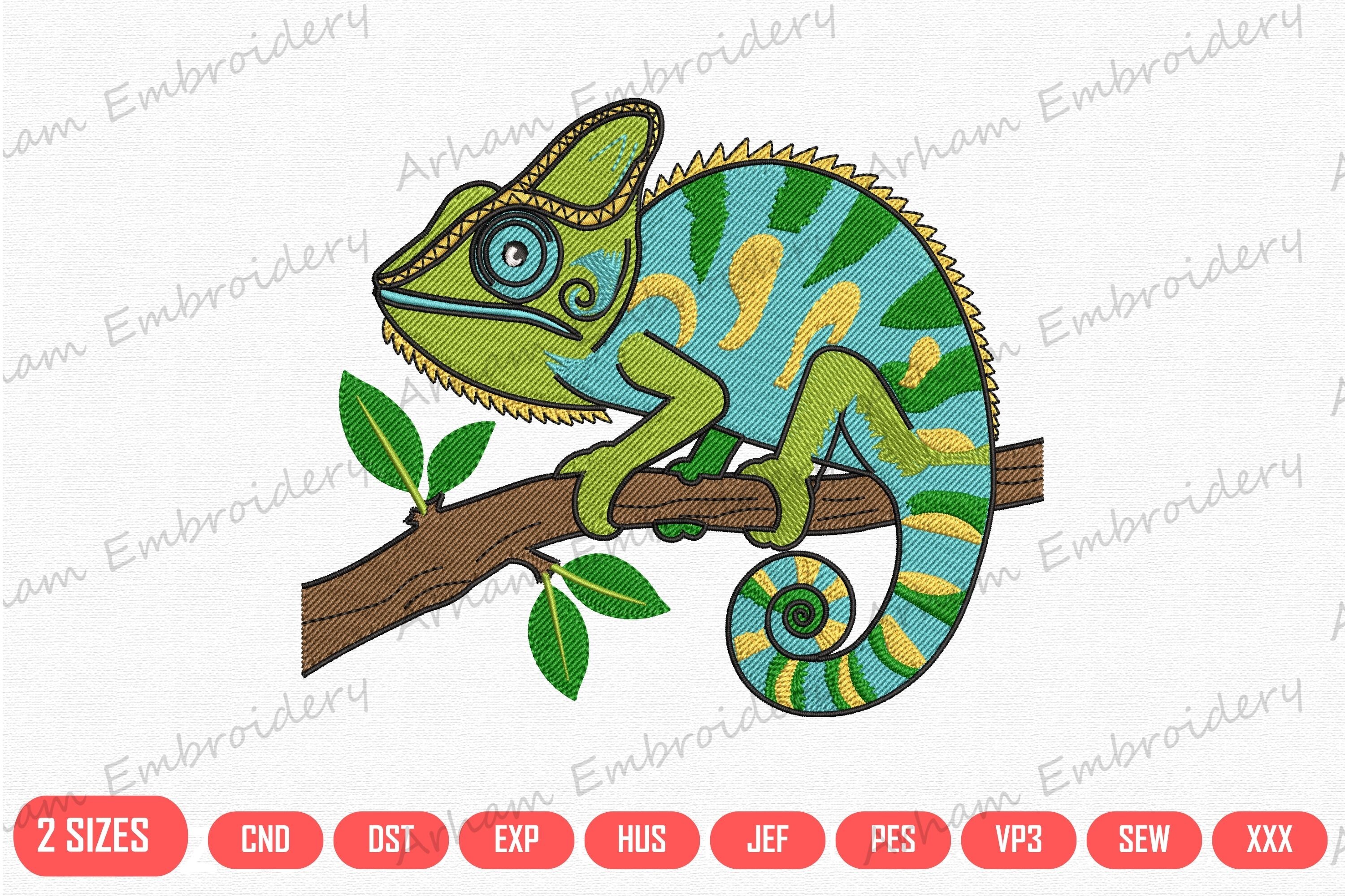 Colorful Chameleon