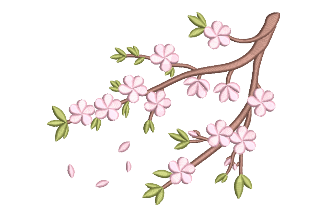 Spring Cherry Blossom Branch
