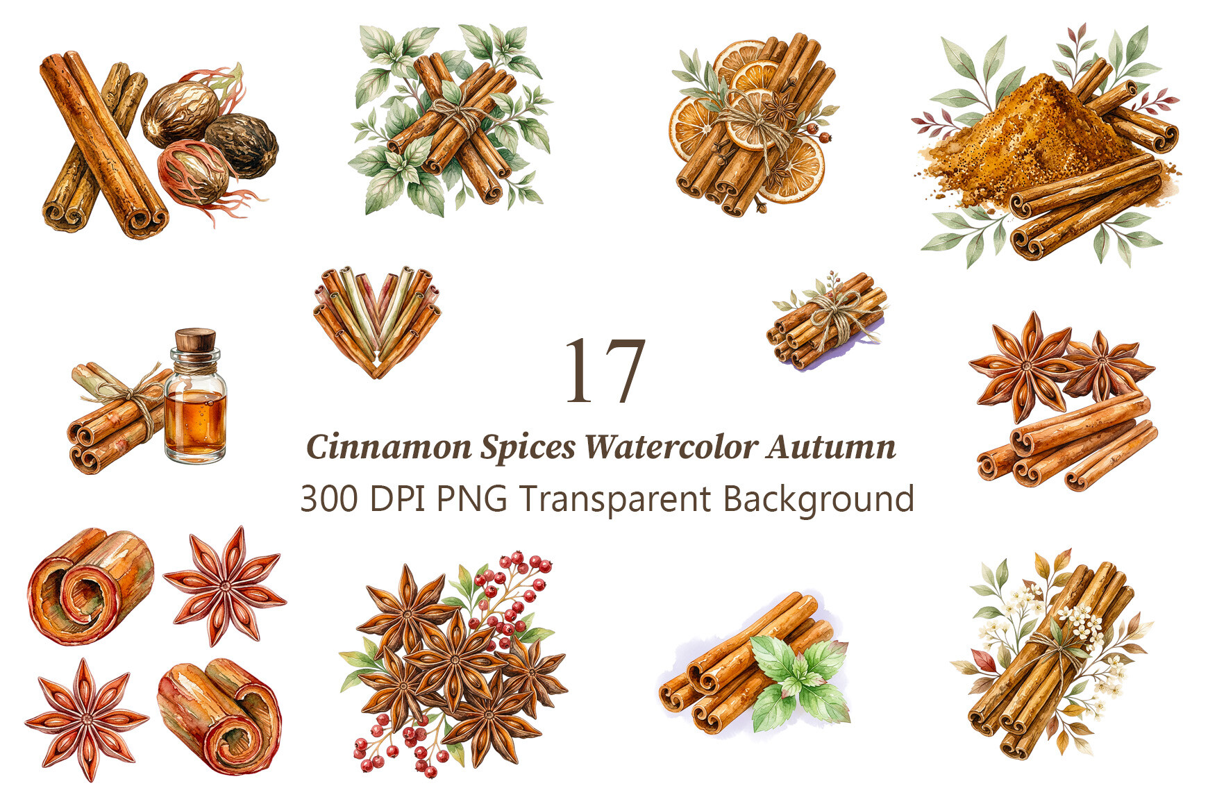 Cinnamon Spices Watercolor Autumn PNG