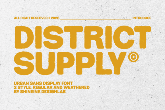 District Supply Sans Serif Font By shineink.designlab