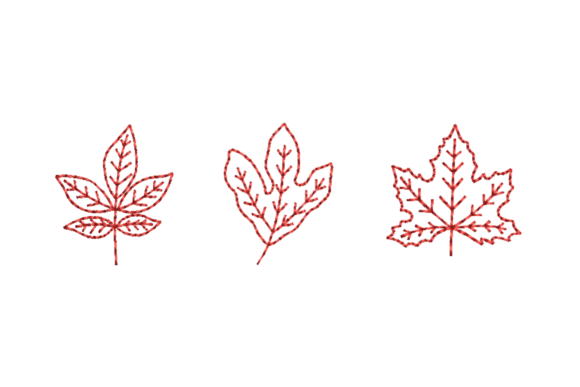 Leaves Bundle-Hickory Sassafras Sycamore