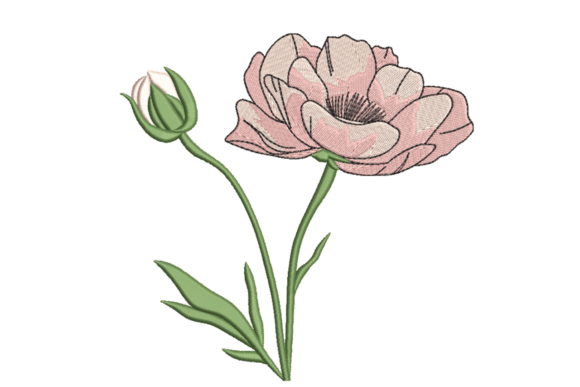 Pink Flower Bud