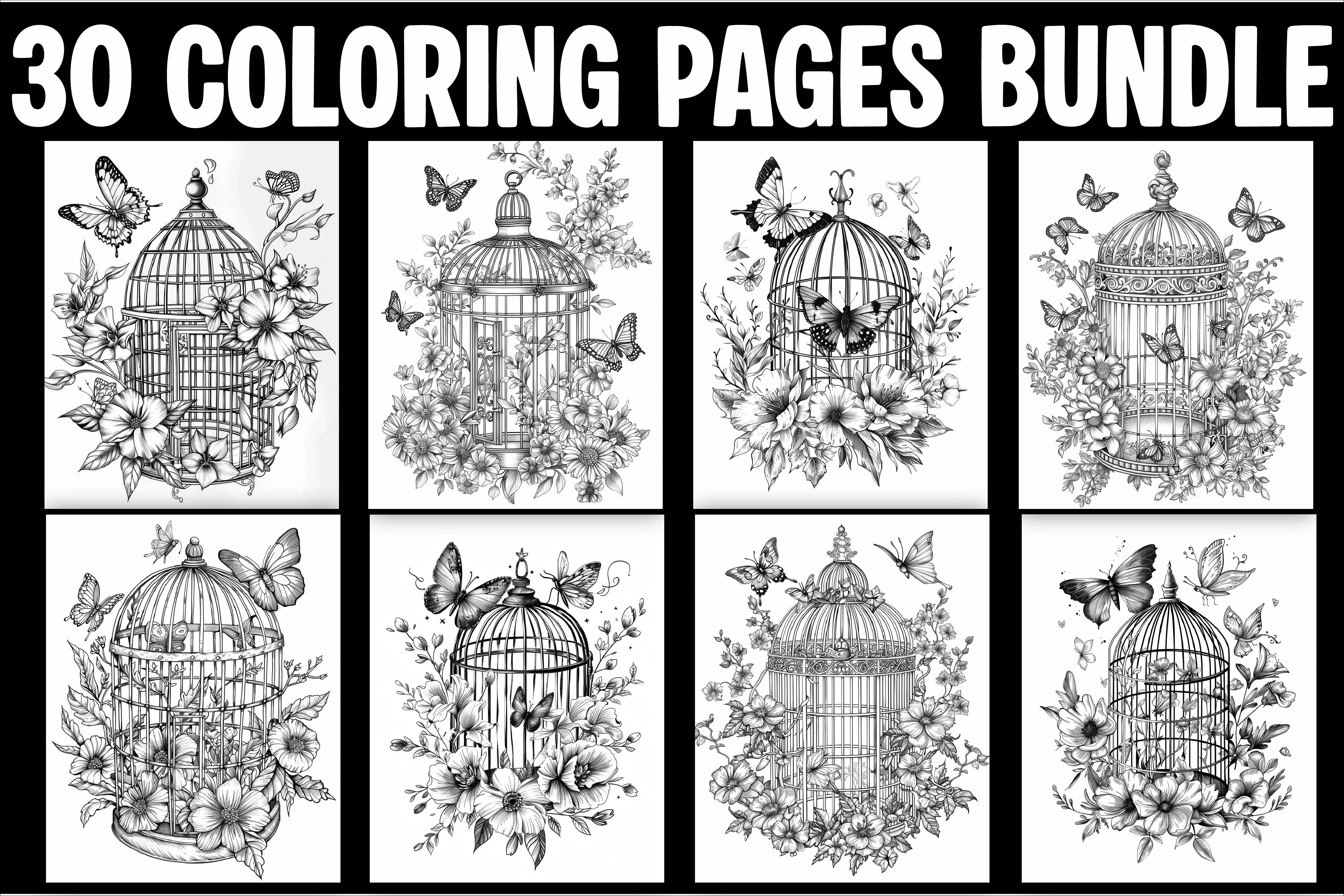 30 Vintage Birdcage & Butterfly Coloring