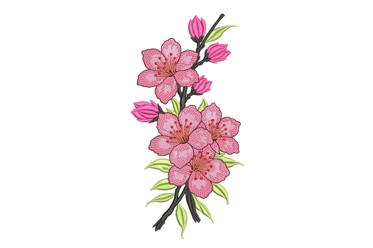 Cherry Blossom Branch