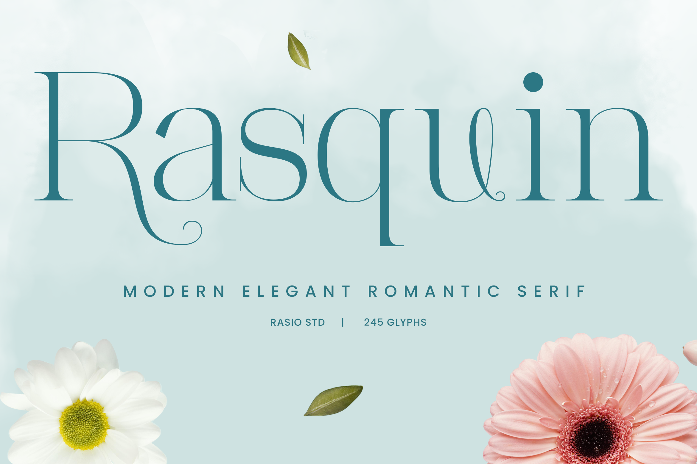 Rasquin packaging font preview