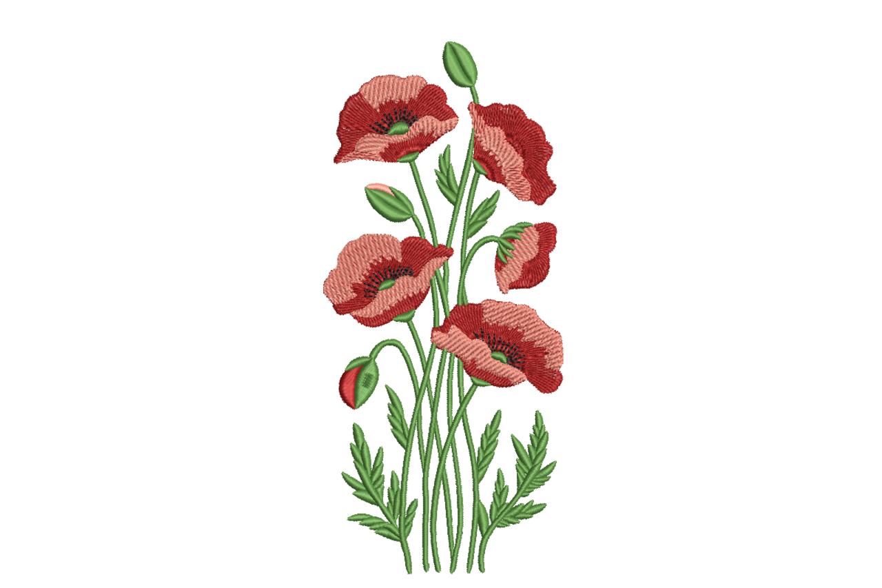 Red Poppy Flowers