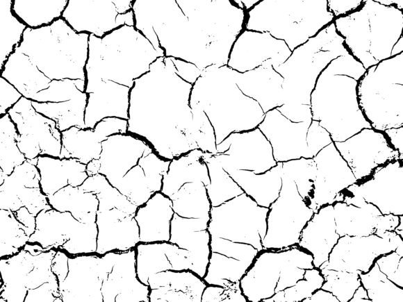 Black and White Cracked Texture