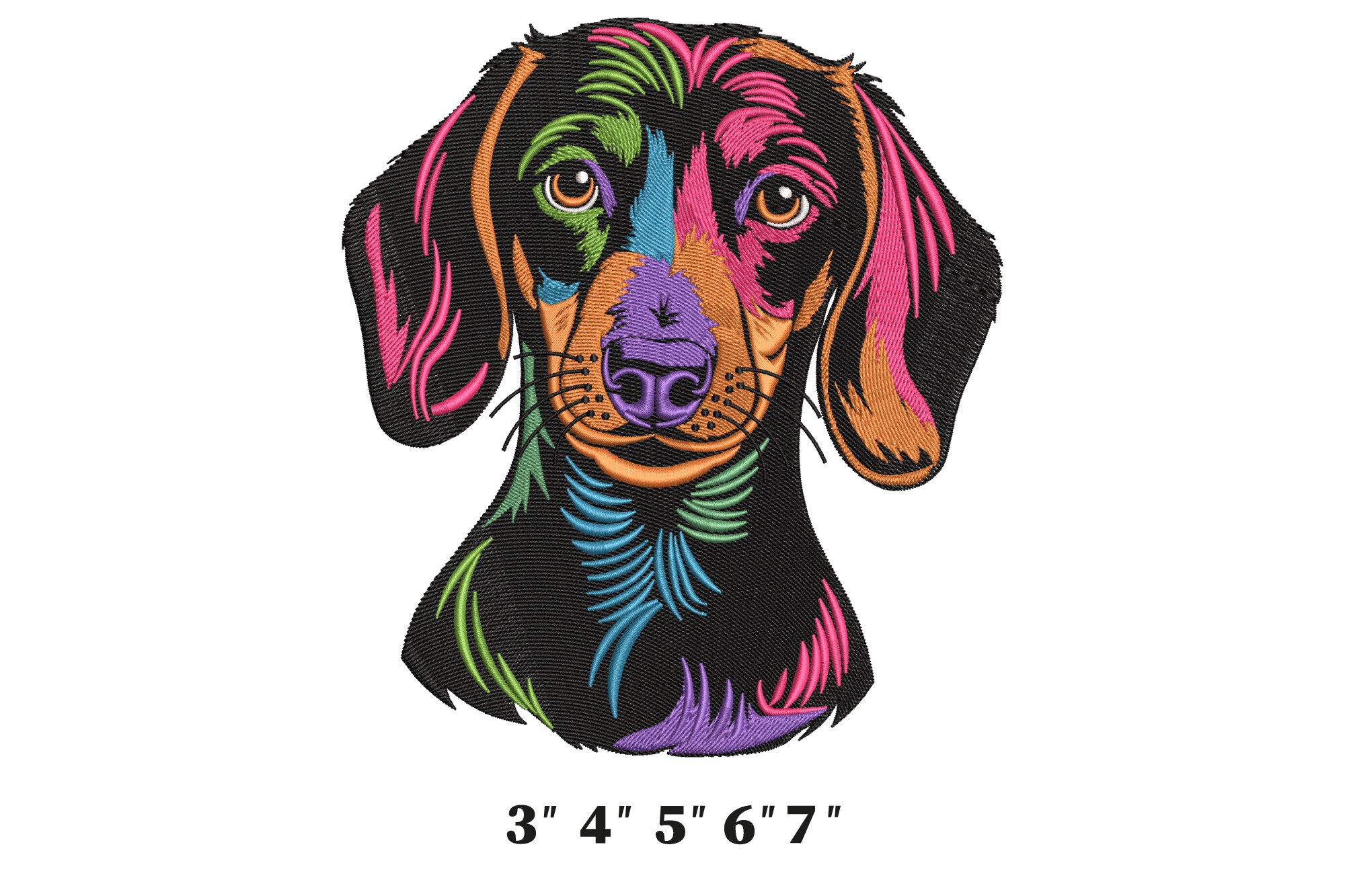Dachshund