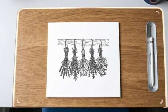 Herbs Hanging Drying Coloring Page