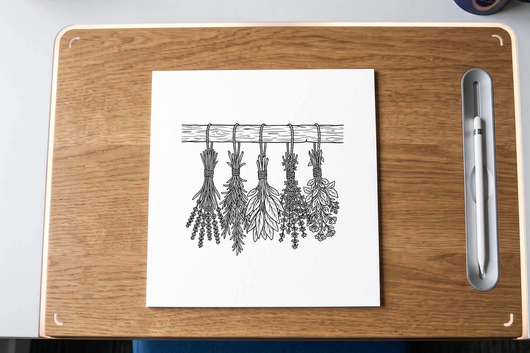 Herbs Hanging Drying Coloring Page