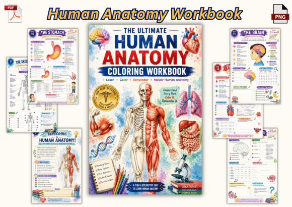 Human Anatomy Coloring Workbook for Kids