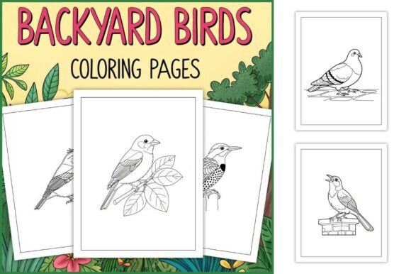 Backyard Birds Coloring Pages for Kids