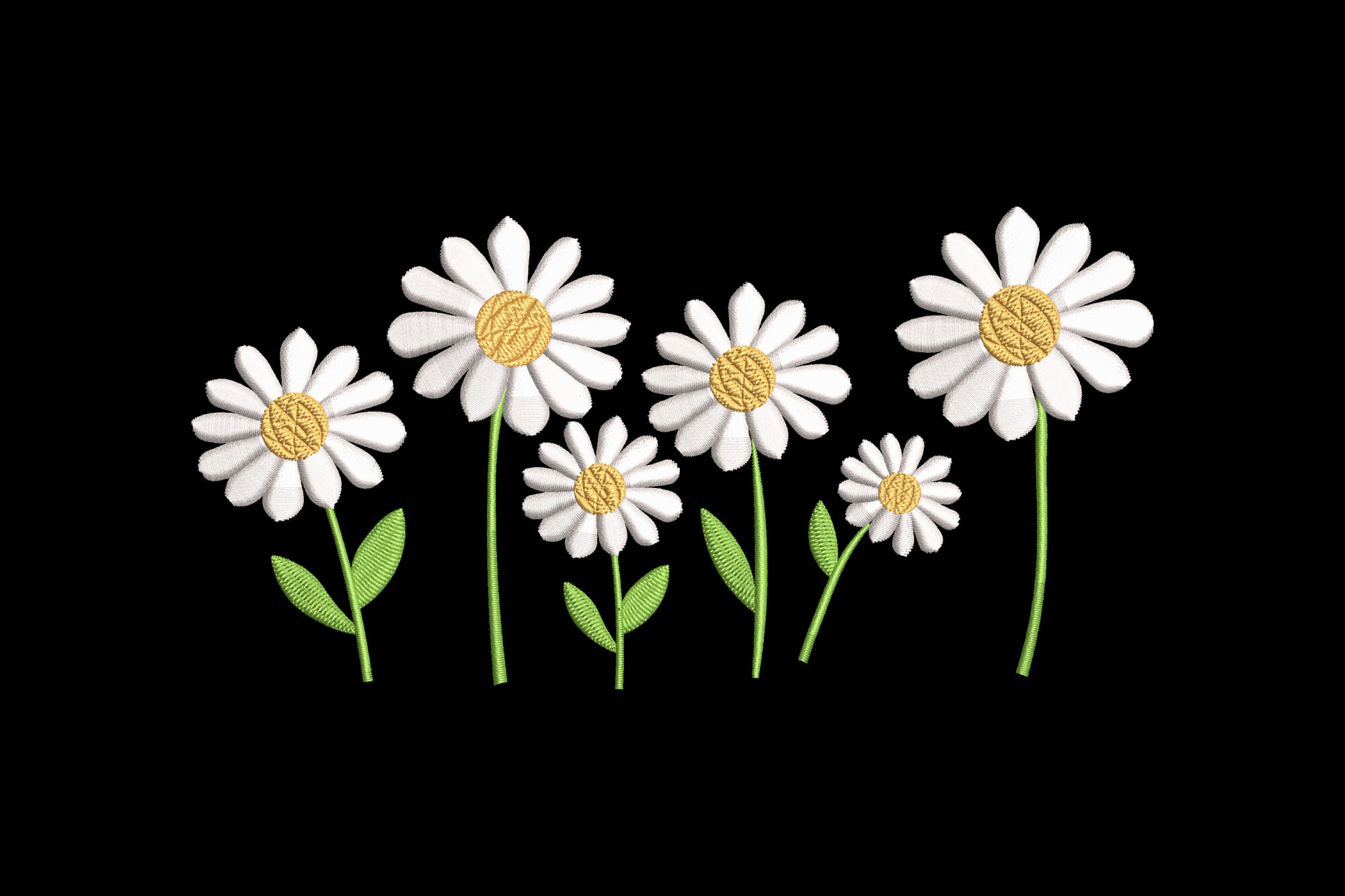 Daisy Flower