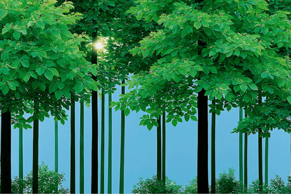Lush Green Forest Background Set