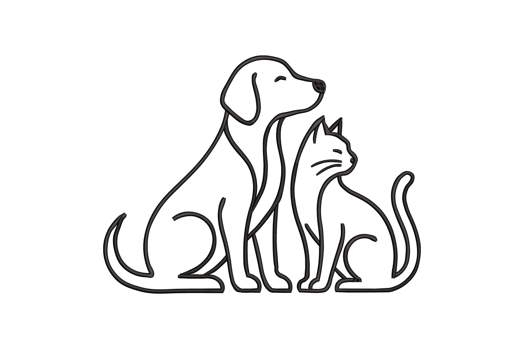 Dog and Cat