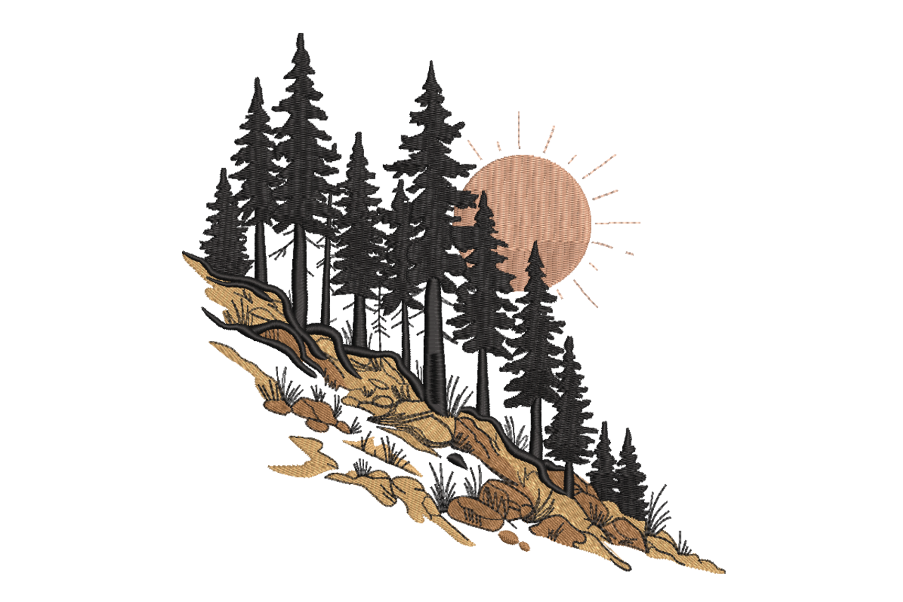 Mountain Pine Sun Scenery