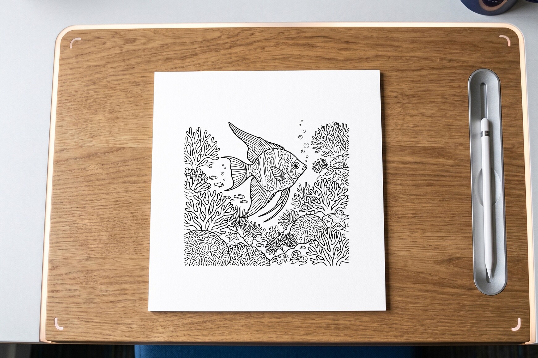 Angelfish Coral Reef Coloring Page