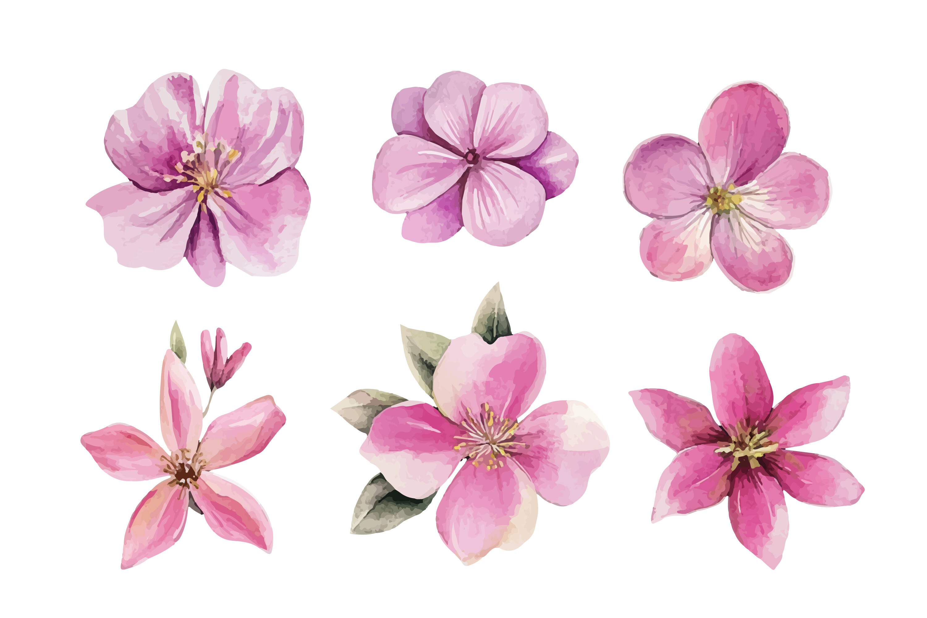 Spring Flower preview, light handwritten font