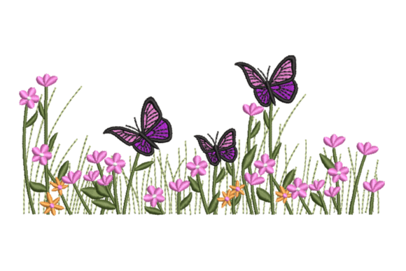 Butterflies & Wildflower Border