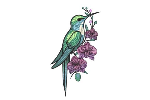 Hummingbird with Orchid Flowers