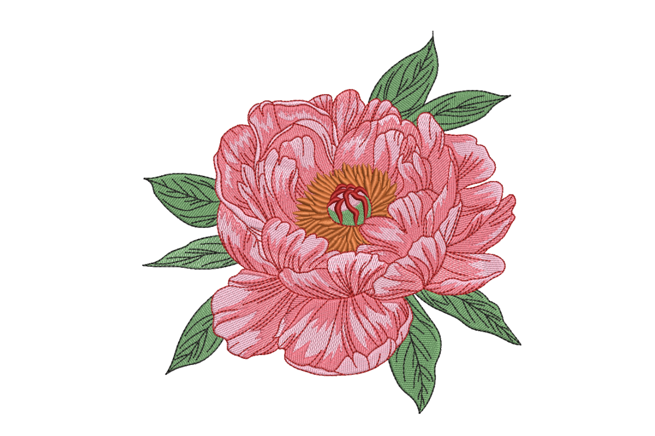 Peony Flower