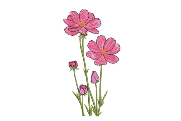 Pink Cosmos Flower