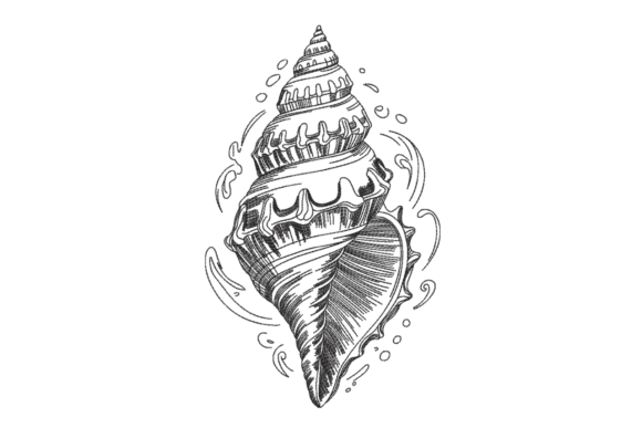 Seashell Line Art