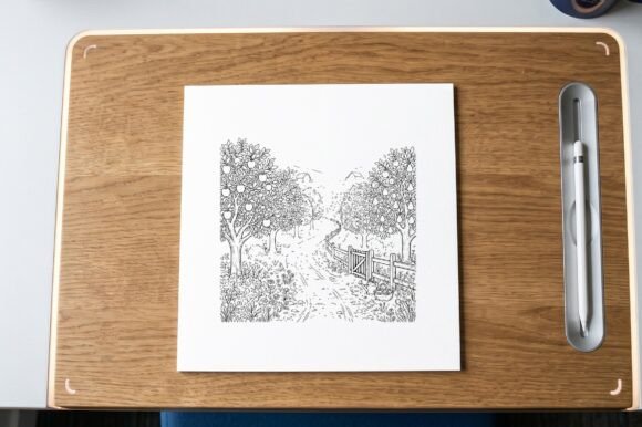 Fruit Trees Orchard Winding Path