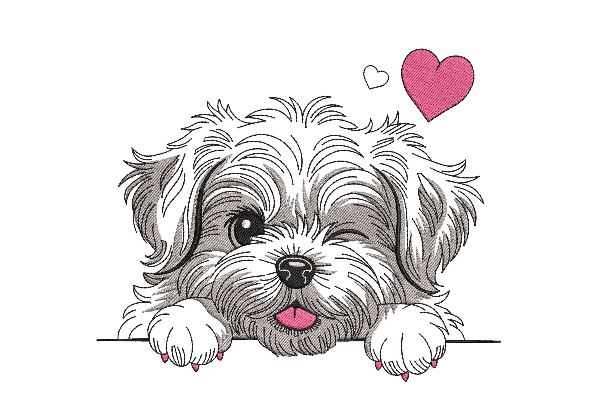 Maltese Puppy