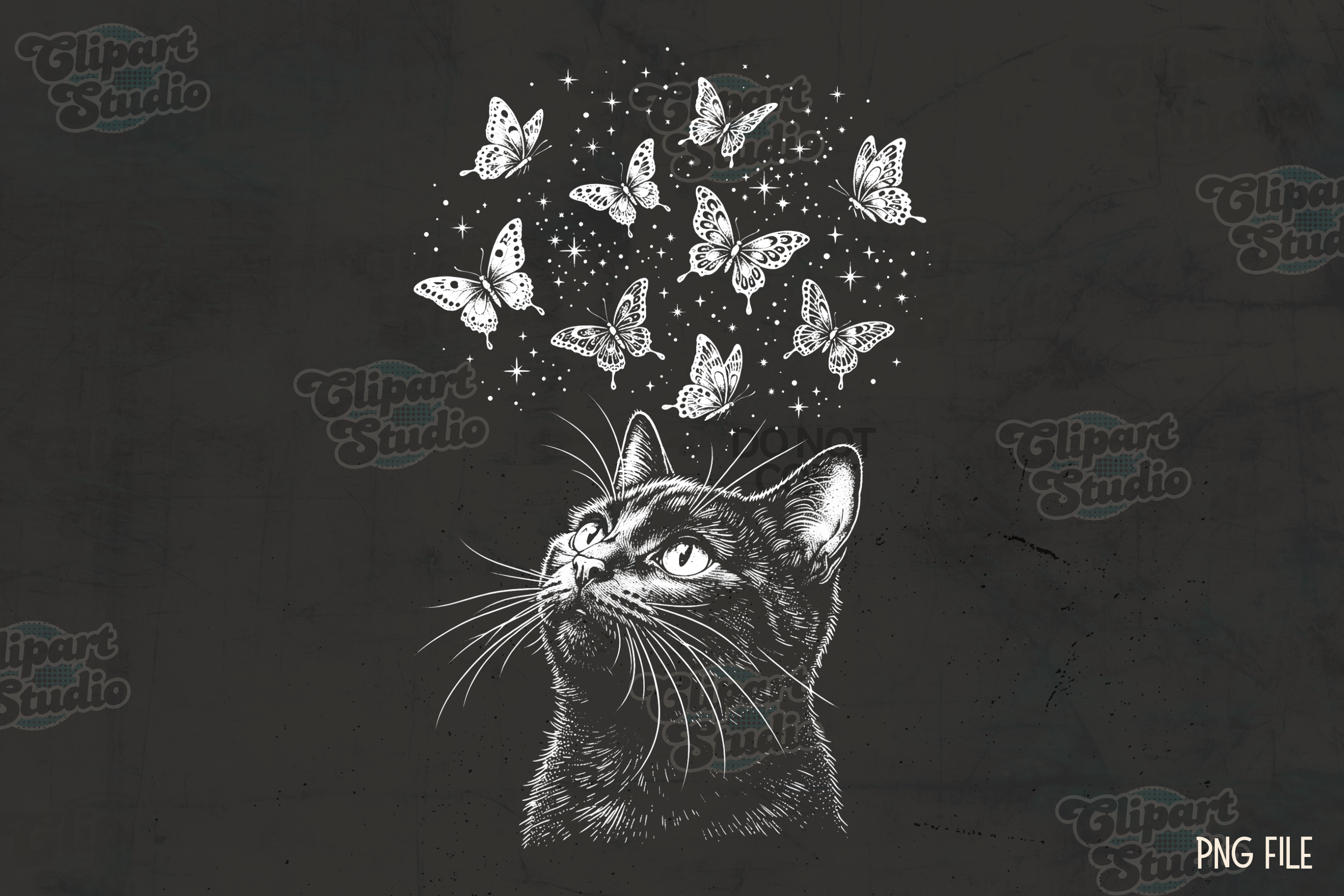 Black cat: a unique, starry night stencil.