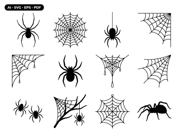Spider Web and Spider SVG Vector