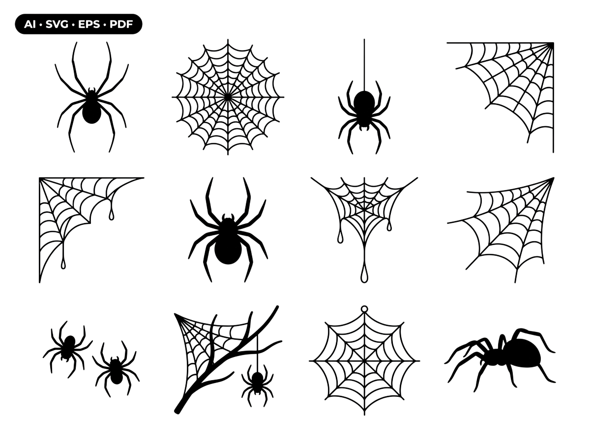 Spider Web and Spider SVG Vector