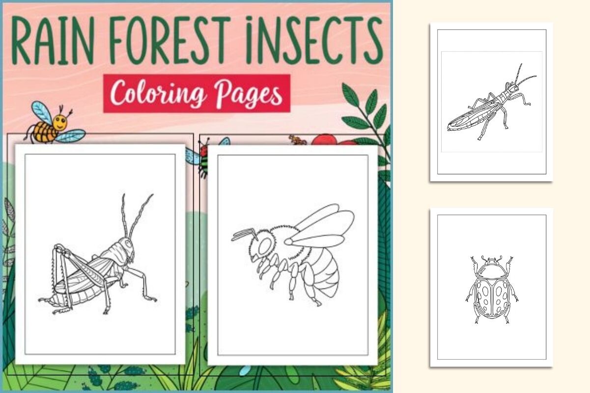 Rainforest Bugs Coloring Pages